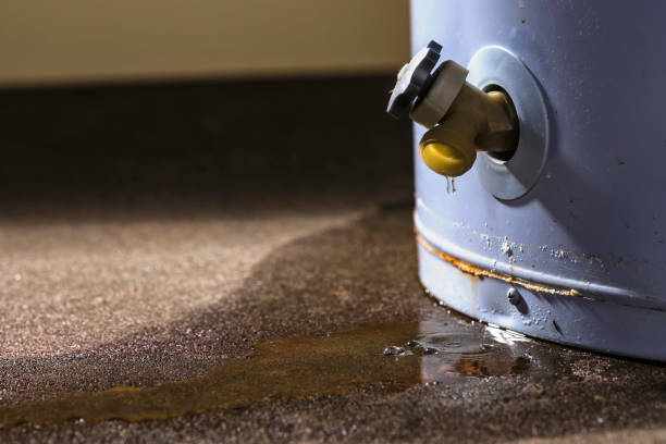 Best Carpet water damage restoration  in Four Oaks, NC