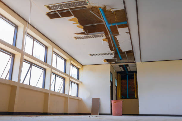 Best Flood damage cleanup  in Four Oaks, NC