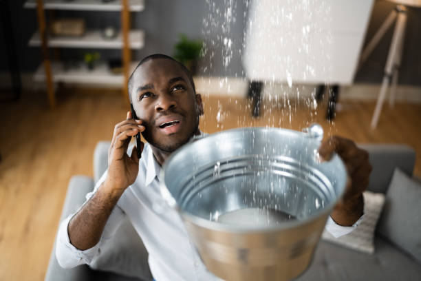 Best Water damage contractors near me  in Four Oaks, NC