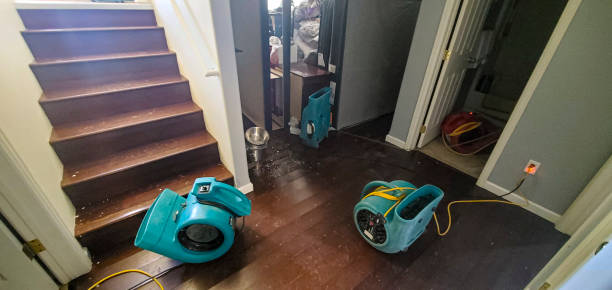 Best Basement water damage restoration  in Four Oaks, NC