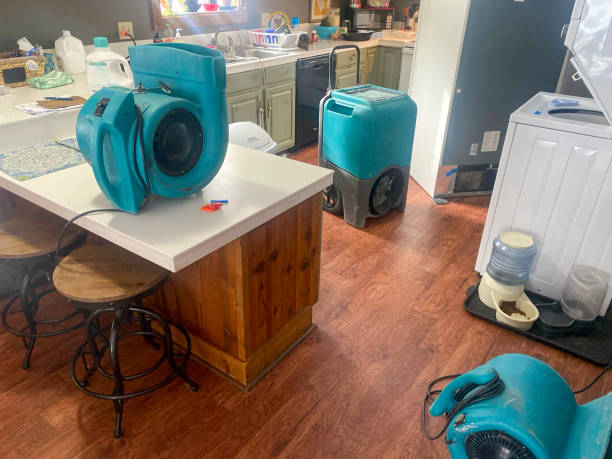 Best Carpet water damage restoration  in Four Oaks, NC