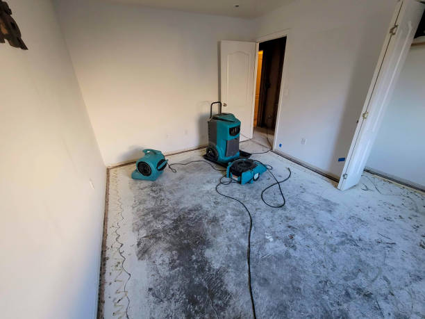 Best Professional water damage repair  in Four Oaks, NC