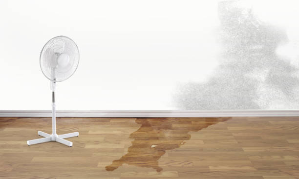 Best Water damage restoration near me  in Four Oaks, NC
