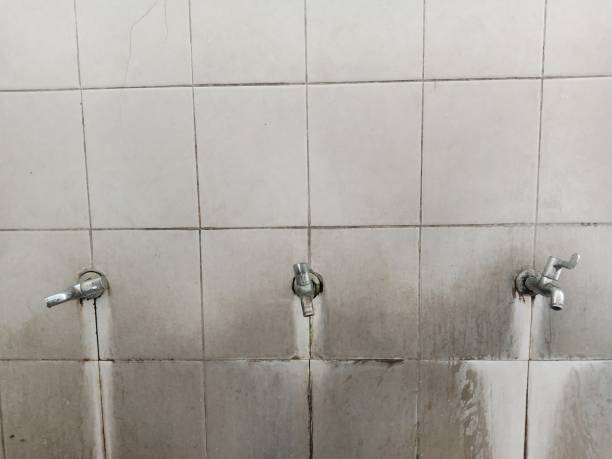 Best Water damage restoration process  in Four Oaks, NC