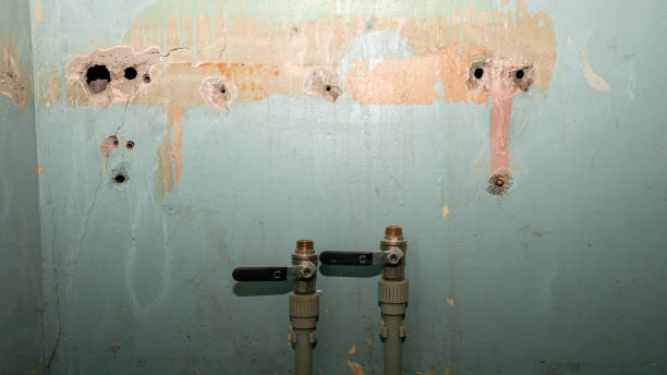 Best Professional water damage repair  in Four Oaks, NC