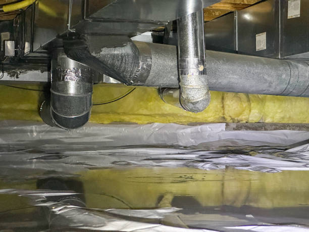 Best Water damage cleanup near me  in Four Oaks, NC