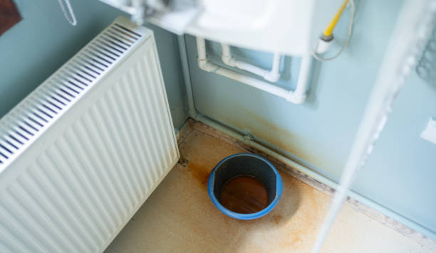 Best Water damage restoration mold remediation  in Four Oaks, NC