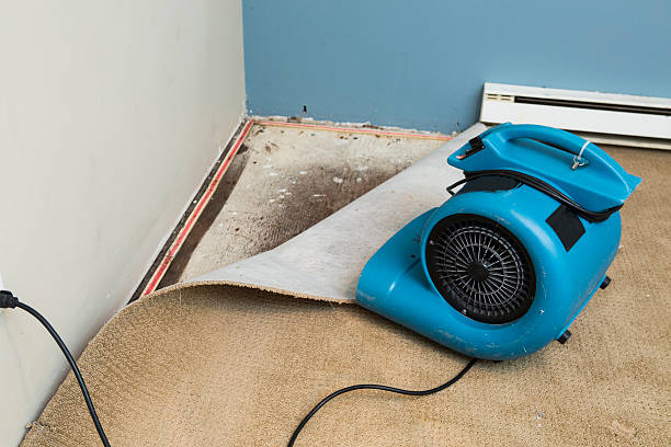 Best Flood damage cleanup  in Four Oaks, NC